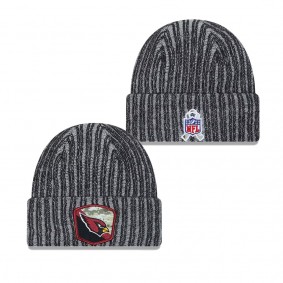 Men's Arizona Cardinals Black 2023 NFL Salute To Service Cuffed Knit Hat