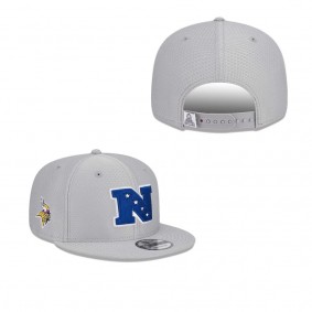 Men's Minnesota Vikings Gray 2024 Pro Bowl 9FIFTY Adjustable Snapback Hat